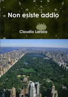 Non esiste addio - intervista a Claudio Larizza 1